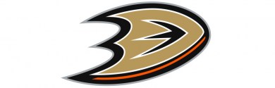 NHL, hokejový, klub, Anaheim, Ducks